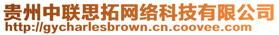 貴州中聯思拓網絡科技有限公司