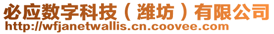 必應數字科技(濰坊)有限公司