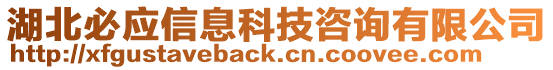 湖北必應(yīng)信息科技咨詢有限公司