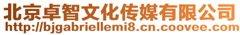 北京卓智文化傳媒有限公司