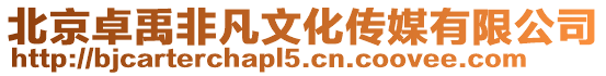 北京卓禹非凡文化傳媒有限公司