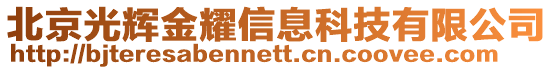 北京光輝金耀信息科技有限公司