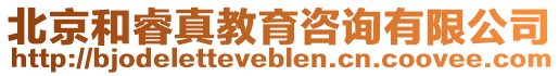 北京和睿真教育咨詢有限公司