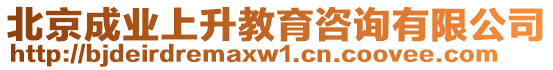 北京成業(yè)上升教育咨詢(xún)有限公司