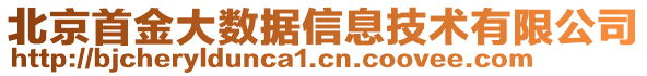 北京首金大數據信息技術有限公司