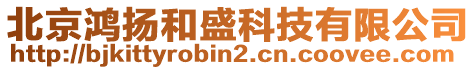 北京鴻揚和盛科技有限公司