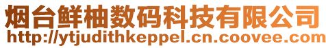 煙臺(tái)鮮柚?jǐn)?shù)碼科技有限公司