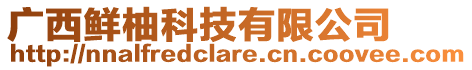 廣西鮮柚科技有限公司