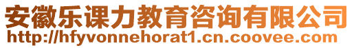 安徽樂課力教育咨詢有限公司