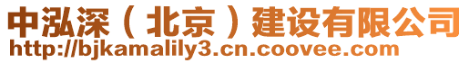 中泓深（北京）建設(shè)有限公司