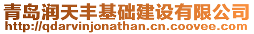 青島潤天豐基礎建設有限公司
