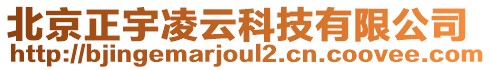 北京正宇凌云科技有限公司