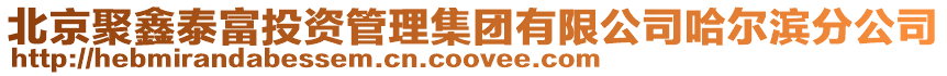 北京聚鑫泰富投資管理集團有限公司哈爾濱分公司
