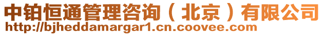 中鉑恒通管理咨詢(北京)有限公司