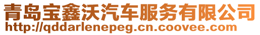 青島寶鑫沃汽車服務有限公司