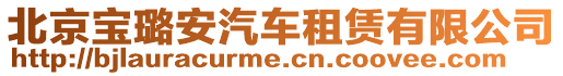 北京寶璐安汽車租賃有限公司