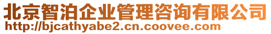 北京智泊企業管理咨詢有限公司