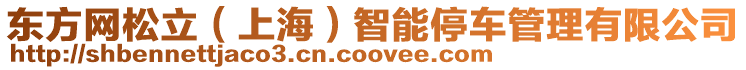 東方網松立（上海）智能停車管理有限公司