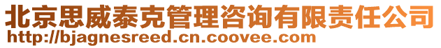 北京思威泰克管理咨詢有限責(zé)任公司