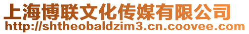 上海博聯(lián)文化傳媒有限公司