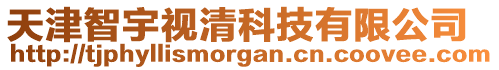 天津智宇視清科技有限公司