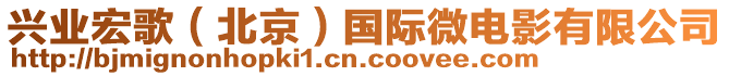 興業宏歌(北京)國際微電影有限公司