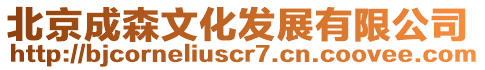 北京成森文化發展有限公司
