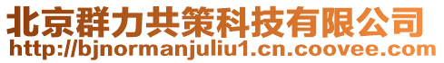 北京群力共策科技有限公司