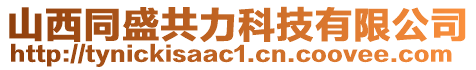 山西同盛共力科技有限公司