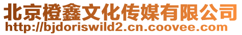 北京橙鑫文化傳媒有限公司
