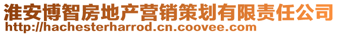 淮安博智房地產營銷策劃有限責任公司