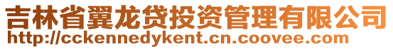 吉林省翼龍貸投資管理有限公司
