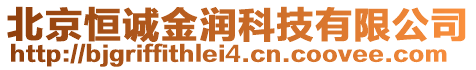 北京恒誠金潤科技有限公司