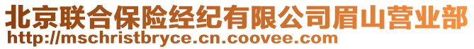 北京聯(lián)合保險(xiǎn)經(jīng)紀(jì)有限公司眉山營(yíng)業(yè)部