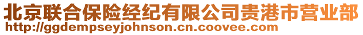 北京聯(lián)合保險(xiǎn)經(jīng)紀(jì)有限公司貴港市營業(yè)部