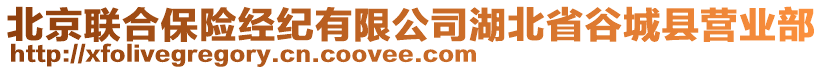 北京聯(lián)合保險經(jīng)紀(jì)有限公司湖北省谷城縣營業(yè)部