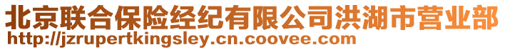 北京聯(lián)合保險經(jīng)紀(jì)有限公司洪湖市營業(yè)部