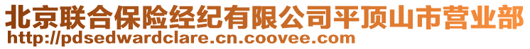 北京聯(lián)合保險(xiǎn)經(jīng)紀(jì)有限公司平頂山市營業(yè)部