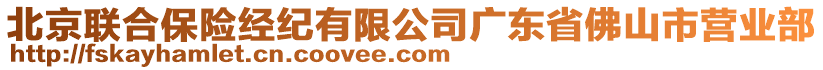 北京聯(lián)合保險經(jīng)紀有限公司廣東省佛山市營業(yè)部