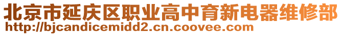 北京市延慶區(qū)職業(yè)高中育新電器維修部