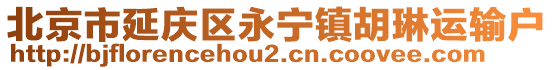 北京市延慶區(qū)永寧鎮(zhèn)胡琳運(yùn)輸戶