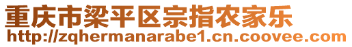 重慶市梁平區(qū)宗指農(nóng)家樂