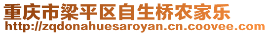 重慶市梁平區自生橋農家樂
