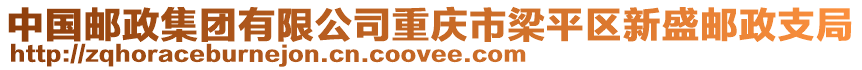 中國(guó)郵政集團(tuán)有限公司重慶市梁平區(qū)新盛郵政支局