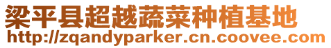 梁平縣超越蔬菜種植基地