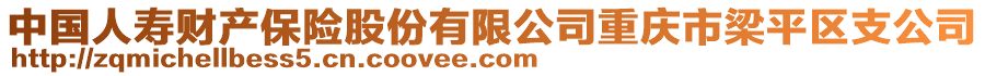 中國人壽財(cái)產(chǎn)保險(xiǎn)股份有限公司重慶市梁平區(qū)支公司