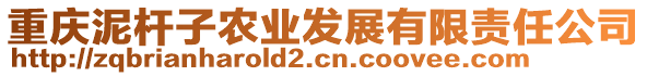 重慶泥桿子農(nóng)業(yè)發(fā)展有限責任公司