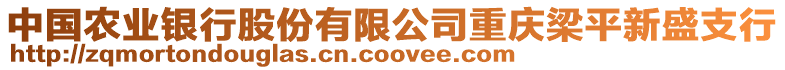 中國(guó)農(nóng)業(yè)銀行股份有限公司重慶梁平新盛支行