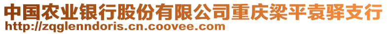 中國農(nóng)業(yè)銀行股份有限公司重慶梁平袁驛支行