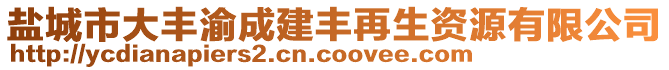 鹽城市大豐渝成建豐再生資源有限公司